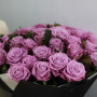51 фиолетовая роза фото 3